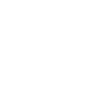 Metallic Style